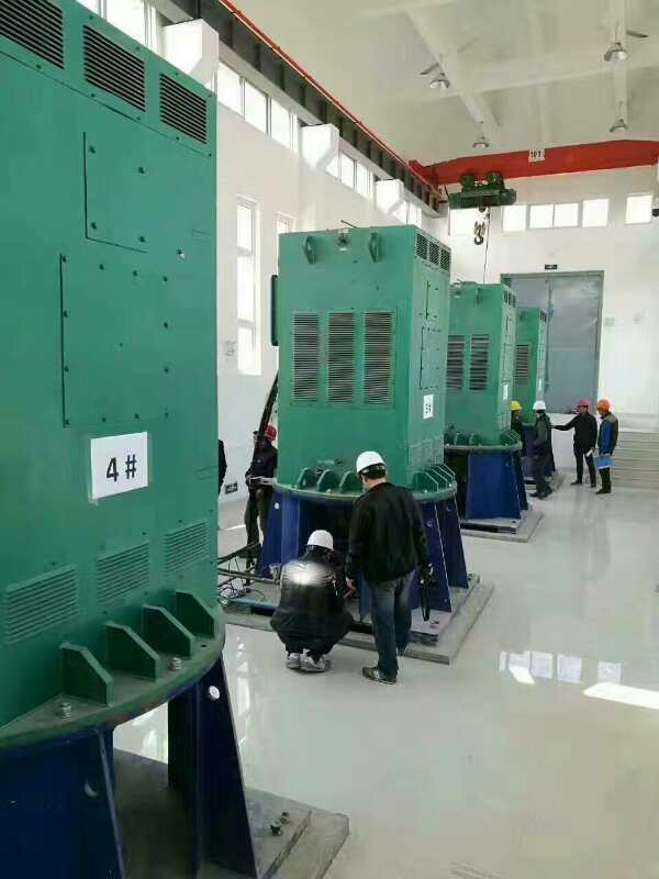 YE5电机生产厂家某污水处理厂使用我厂的立式高压电机安装现场