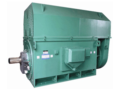 YE5电机生产厂家Y系列6KV高压电机